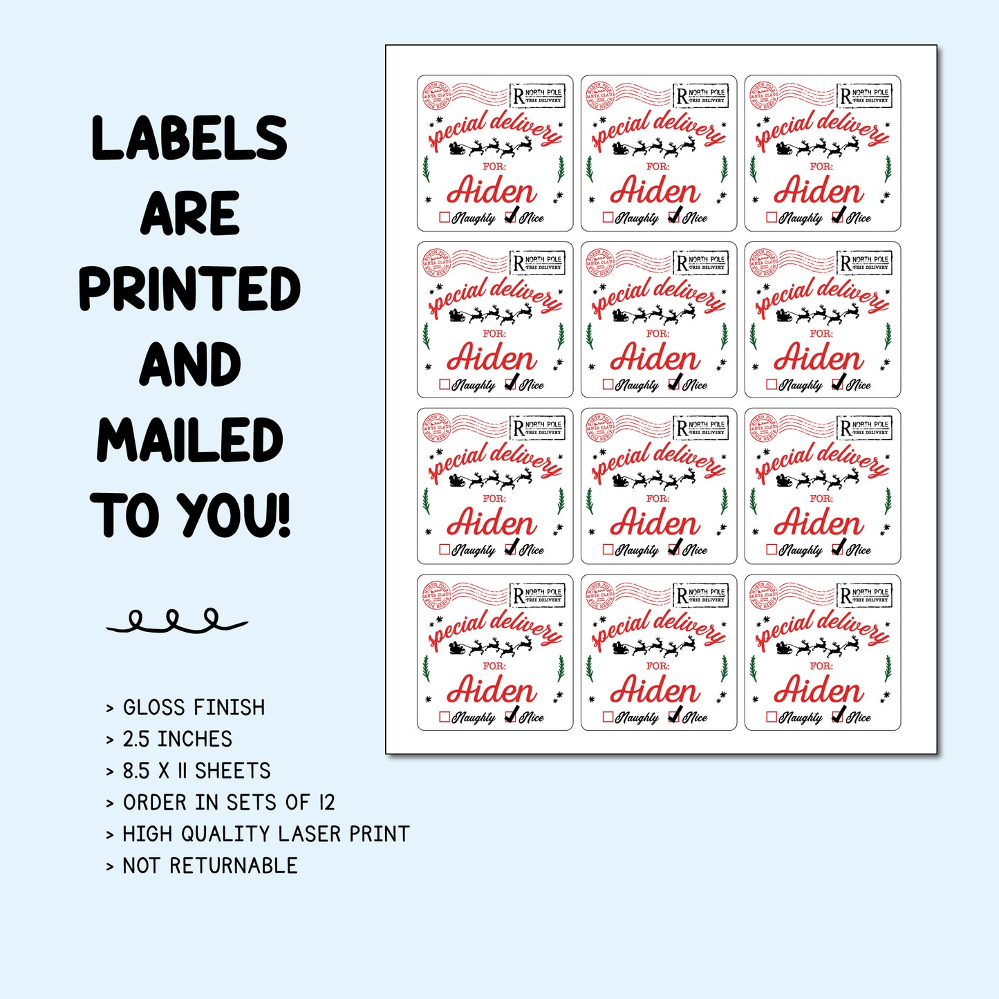 Personalized Christmas Gift Labels - Special Delivery